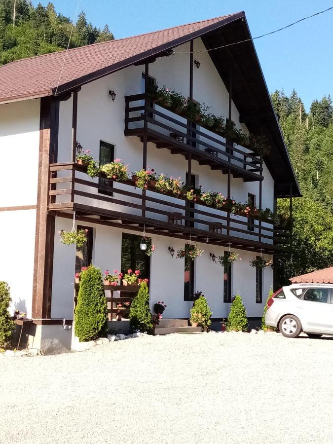 Casa Ursului Villa Vadu Motilor Bagian luar foto
