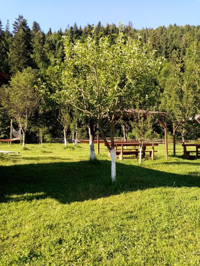 Casa Ursului Villa Vadu Motilor Bagian luar foto