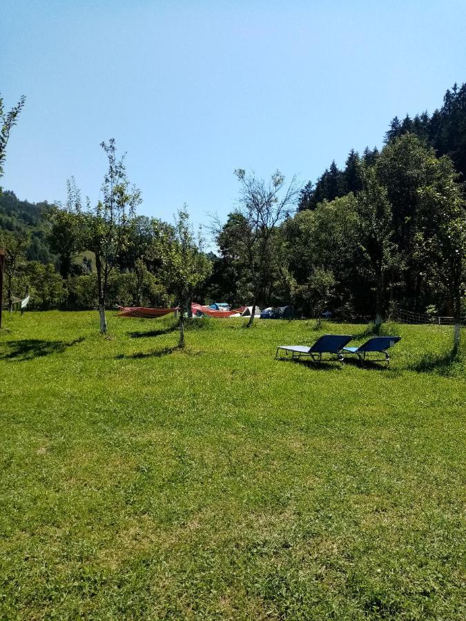 Casa Ursului Villa Vadu Motilor Bagian luar foto