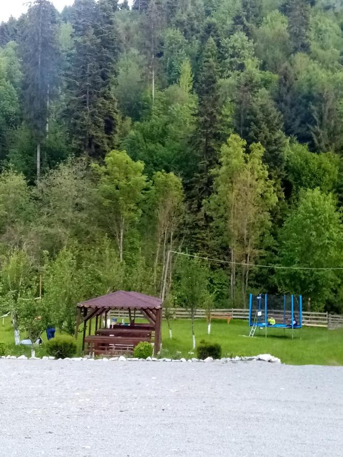 Casa Ursului Villa Vadu Motilor Bagian luar foto