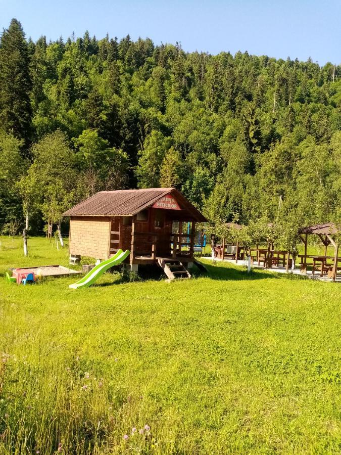 Casa Ursului Villa Vadu Motilor Bagian luar foto