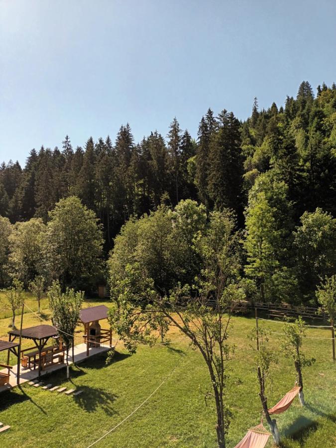 Casa Ursului Villa Vadu Motilor Bagian luar foto
