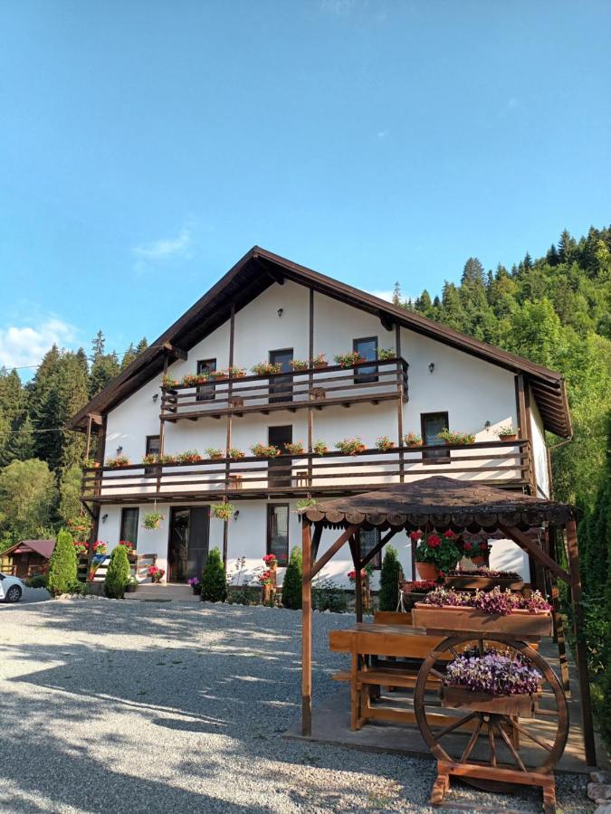 Casa Ursului Villa Vadu Motilor Bagian luar foto