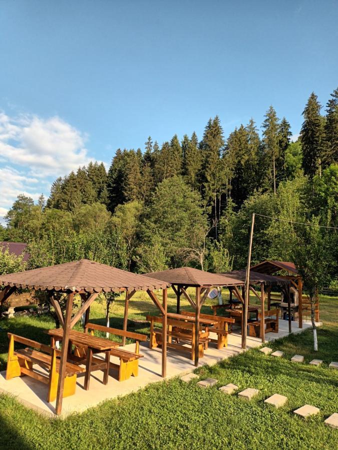 Casa Ursului Villa Vadu Motilor Bagian luar foto