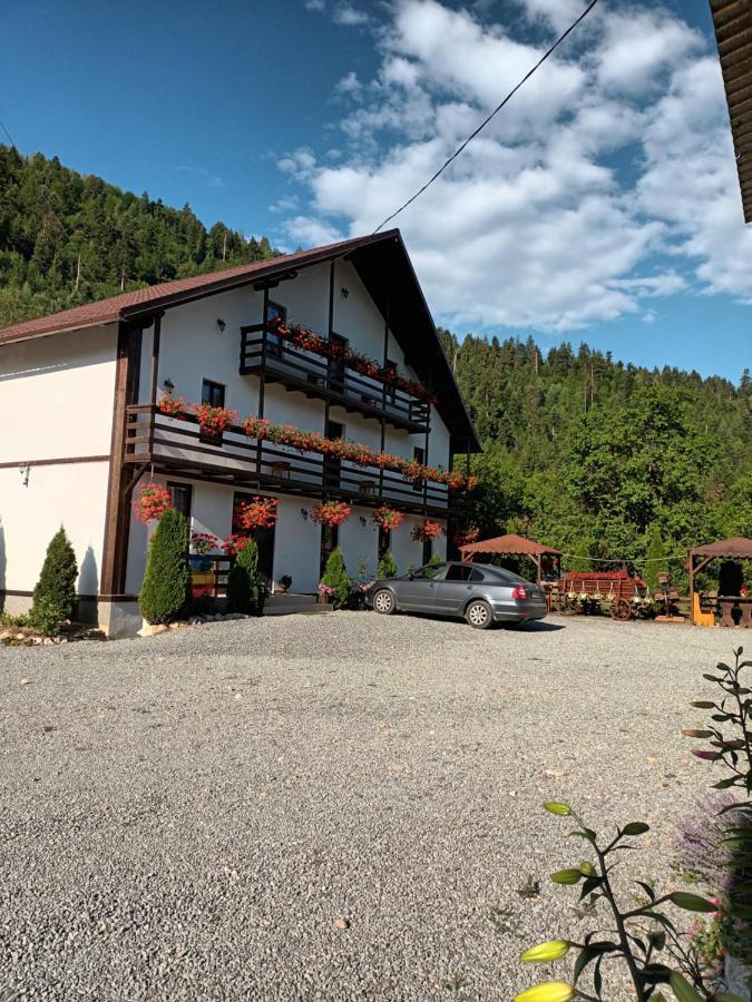 Casa Ursului Villa Vadu Motilor Bagian luar foto