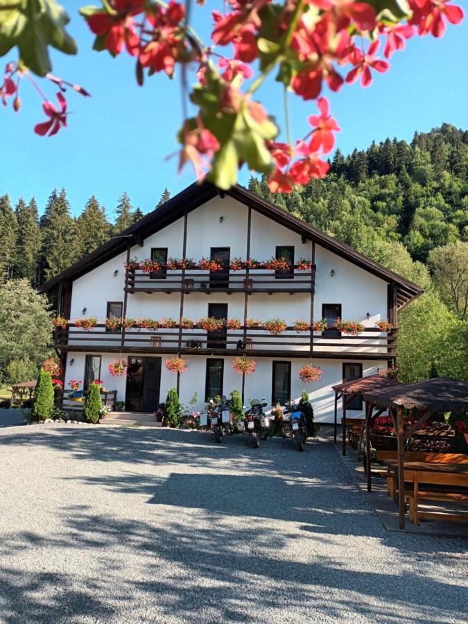 Casa Ursului Villa Vadu Motilor Bagian luar foto
