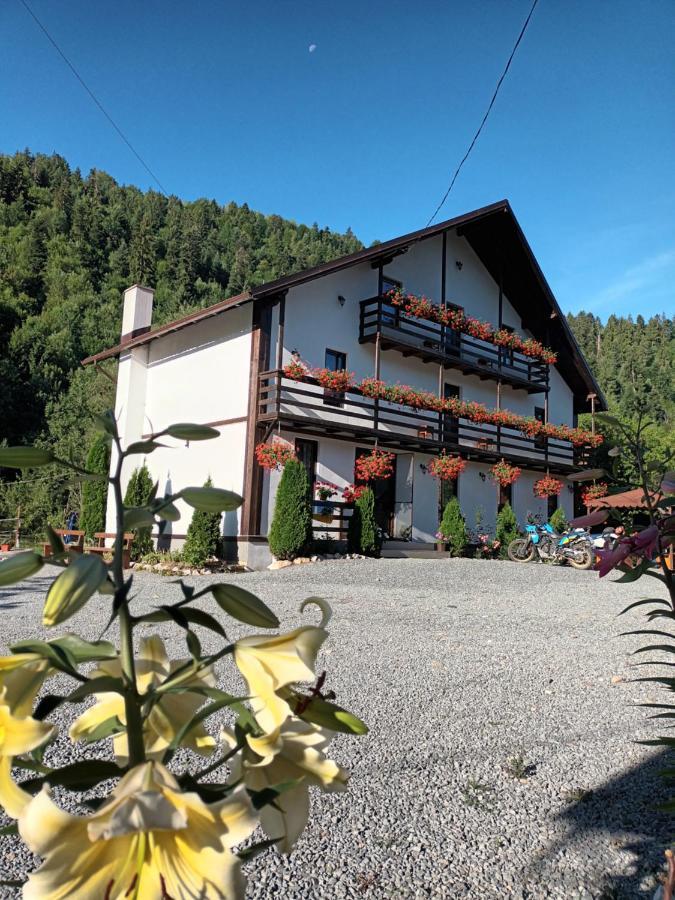 Casa Ursului Villa Vadu Motilor Bagian luar foto
