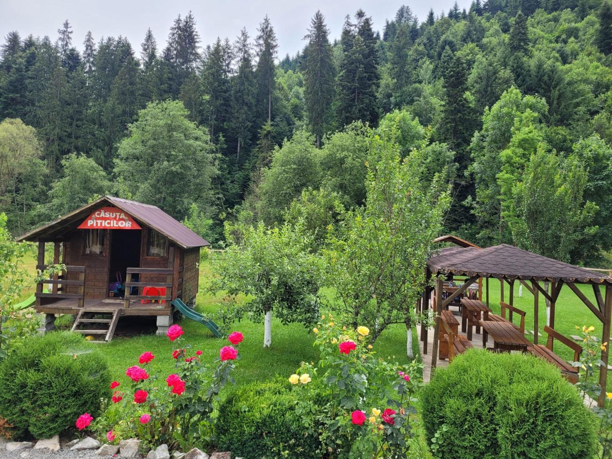 Casa Ursului Villa Vadu Motilor Bagian luar foto