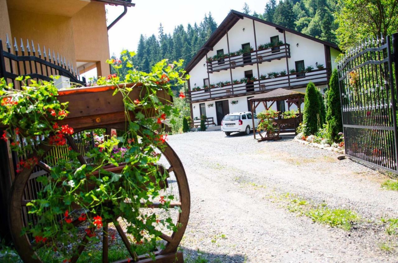 Casa Ursului Villa Vadu Motilor Bagian luar foto